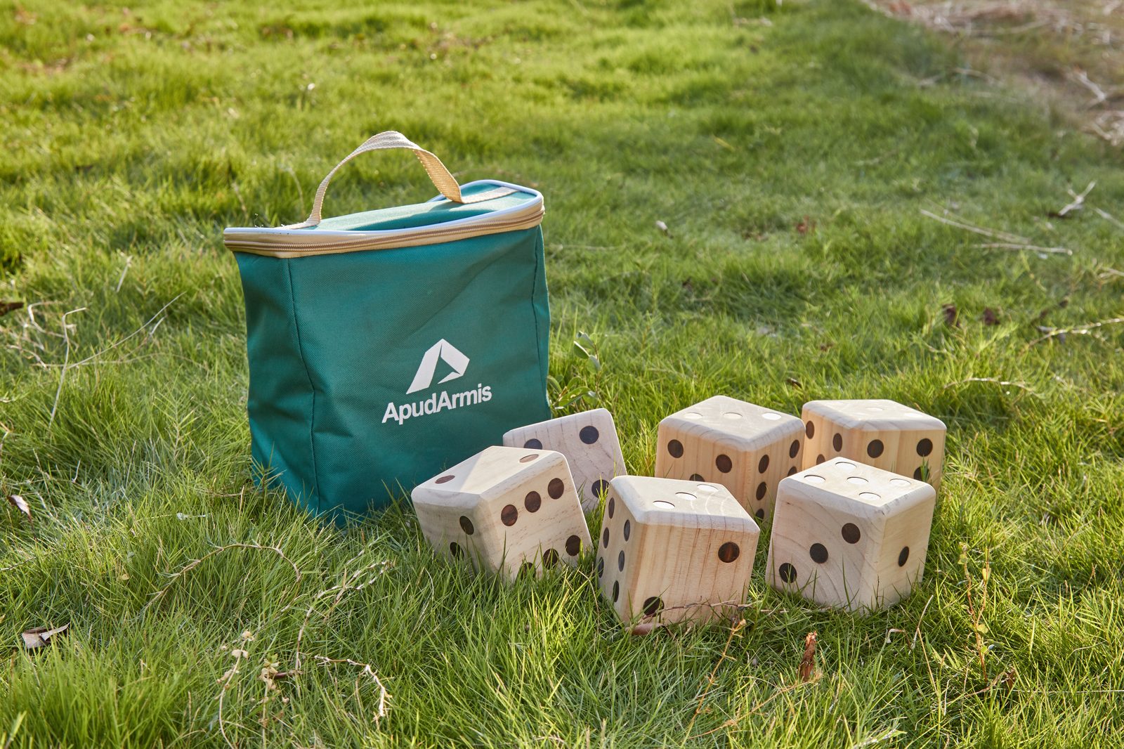 ApudArmis giant yard dice